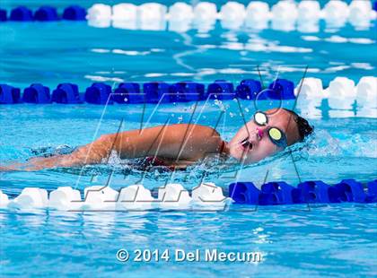Thumbnail 2 in Hillsborough Western Conference Meet photogallery.