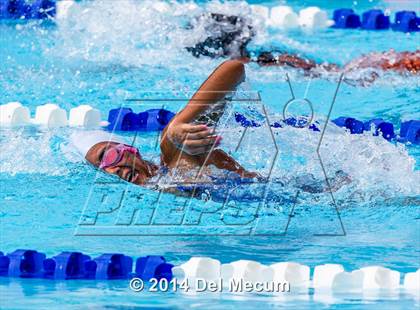 Thumbnail 1 in Hillsborough Western Conference Meet photogallery.