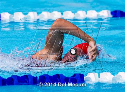 Thumbnail 3 in Hillsborough Western Conference Meet photogallery.