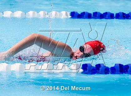 Thumbnail 3 in Hillsborough Western Conference Meet photogallery.