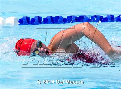 Thumbnail 1 in Hillsborough Western Conference Meet photogallery.