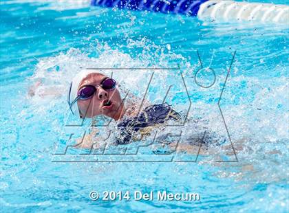 Thumbnail 3 in Hillsborough Western Conference Meet photogallery.