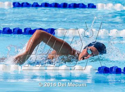 Thumbnail 1 in Hillsborough Western Conference Meet photogallery.