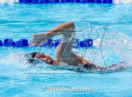 Thumbnail 1 in Hillsborough Western Conference Meet photogallery.
