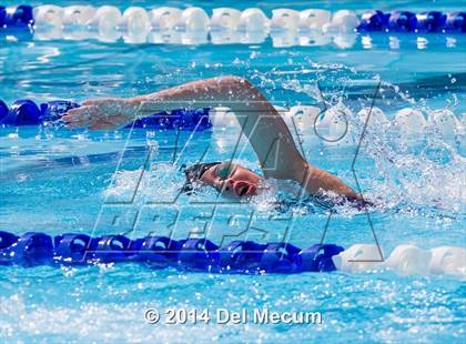 Thumbnail 3 in Hillsborough Western Conference Meet photogallery.
