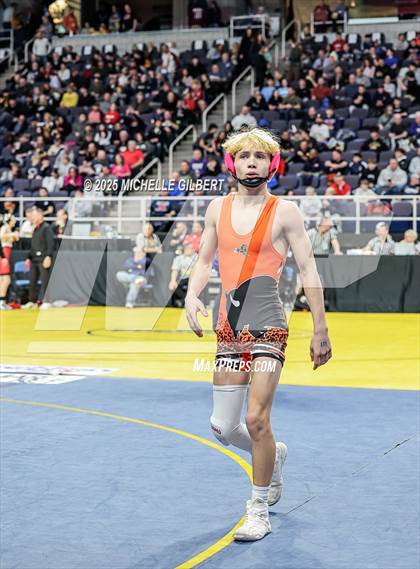 Thumbnail 2 in NYSPHSAA Division 2 State Championships (Semi Finals 101 to 138) photogallery.