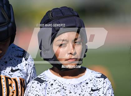 Thumbnail 1 in Castaic vs. Anaheim (CIF SS Div 5 Final) photogallery.