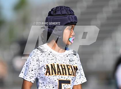 Thumbnail 2 in Castaic vs. Anaheim (CIF SS Div 5 Final) photogallery.