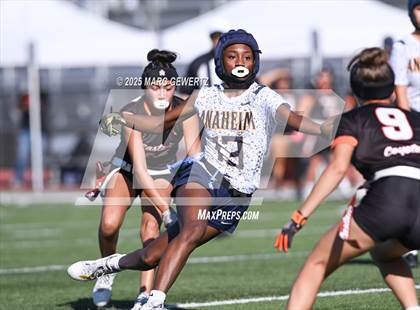 Thumbnail 2 in Castaic vs. Anaheim (CIF SS Div 5 Final) photogallery.