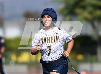 Thumbnail 2 in Castaic vs. Anaheim (CIF SS Div 5 Final) photogallery.