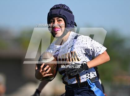 Thumbnail 3 in Castaic vs. Anaheim (CIF SS Div 5 Final) photogallery.