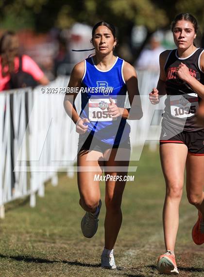 Thumbnail 2 in UIL 1A Girls Cross Country State Final photogallery.