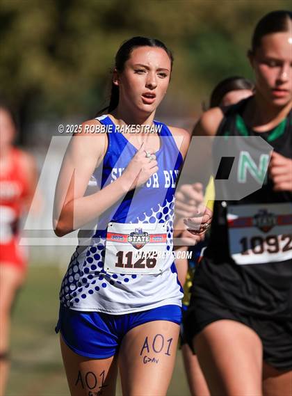 Thumbnail 1 in UIL 1A Girls Cross Country State Final photogallery.