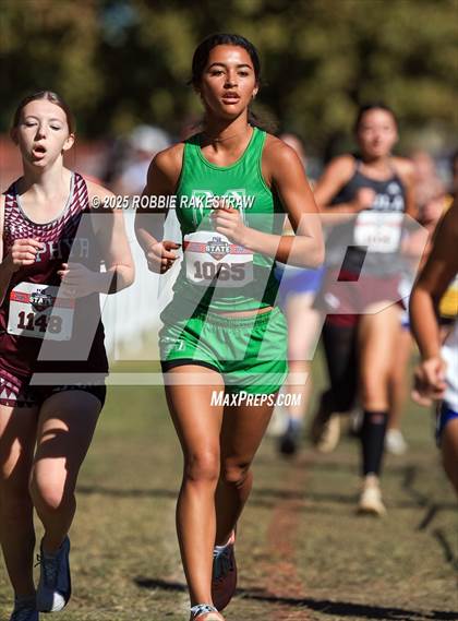 Thumbnail 2 in UIL 1A Girls Cross Country State Final photogallery.
