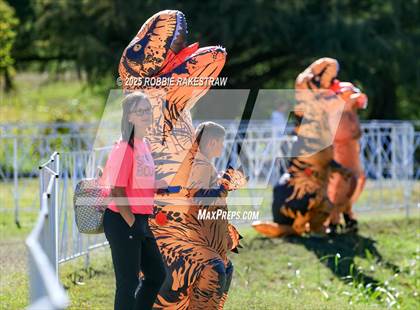 Thumbnail 1 in UIL 1A Girls Cross Country State Final photogallery.