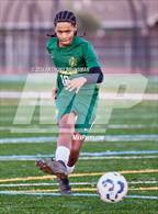 Photo from the gallery "Woodcreek @ Rio Americano"