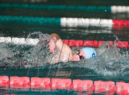 Thumbnail 2 in CHSAA Swimming Championships and State Qualifiers  photogallery.