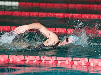 Thumbnail 1 in CHSAA Swimming Championships and State Qualifiers  photogallery.