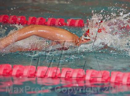 Thumbnail 3 in CHSAA Swimming Championships and State Qualifiers  photogallery.