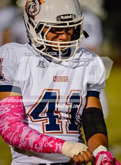 Thumbnail 3 in Cienega @ Canyon del Oro photogallery.