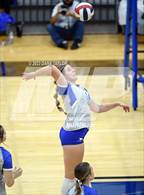 Photo from the gallery "Brock @ Peaster"