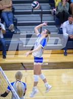 Photo from the gallery "Brock @ Peaster"