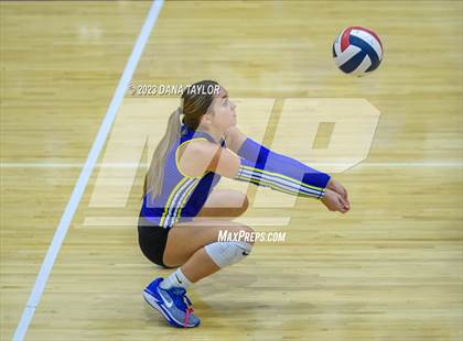 Thumbnail 2 in Brock @ Peaster photogallery.