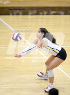 Photo from the gallery "Brock @ Peaster"