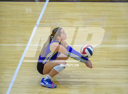 Thumbnail 1 in Brock @ Peaster photogallery.