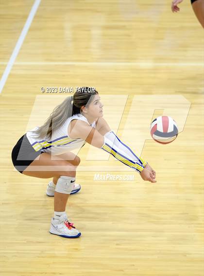 Thumbnail 3 in Brock @ Peaster photogallery.