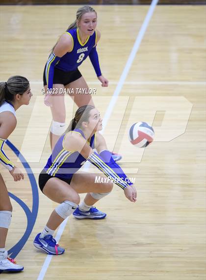 Thumbnail 2 in Brock @ Peaster photogallery.