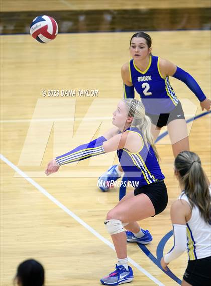 Thumbnail 2 in Brock @ Peaster photogallery.