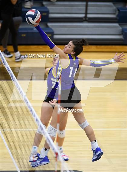 Thumbnail 1 in Brock @ Peaster photogallery.