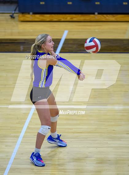 Thumbnail 1 in Brock @ Peaster photogallery.