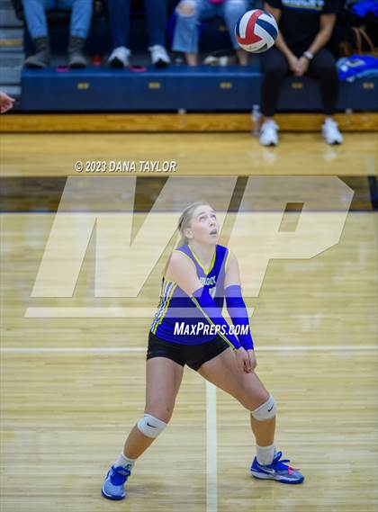 Thumbnail 2 in Brock @ Peaster photogallery.