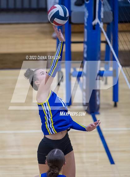 Thumbnail 1 in Brock @ Peaster photogallery.