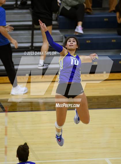Thumbnail 1 in Brock @ Peaster photogallery.