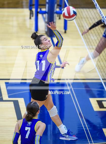 Thumbnail 1 in Brock @ Peaster photogallery.