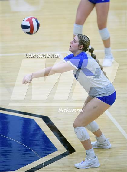 Thumbnail 3 in Brock @ Peaster photogallery.