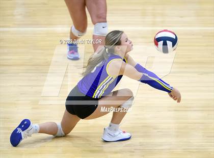 Thumbnail 1 in Brock @ Peaster photogallery.