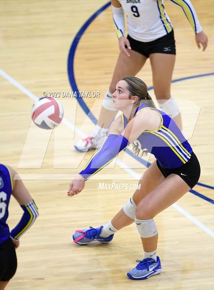 Thumbnail 3 in Brock @ Peaster photogallery.