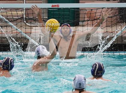 Thumbnail 1 in Leigh vs Leland (CIF CCS D1 Quarterfinals) photogallery.