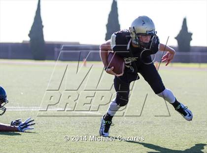 Thumbnail 3 in Del Norte @ Westview photogallery.