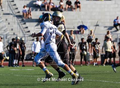 Thumbnail 3 in Del Norte @ Westview photogallery.