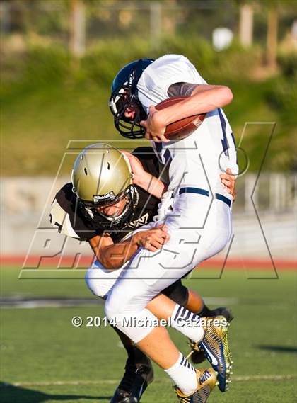 Thumbnail 3 in Del Norte @ Westview photogallery.