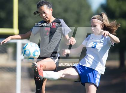 Thumbnail 3 in South San Francisco vs. Santa Cruz (CIF CCS D2 Final) photogallery.