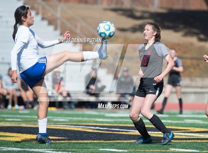 Thumbnail 1 in South San Francisco vs. Santa Cruz (CIF CCS D2 Final) photogallery.