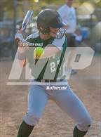 Photo from the gallery "Harris County vs. Ola (GHSA 4A State Tournament)"