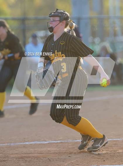 Thumbnail 3 in Harris County vs. Ola (GHSA 4A State Tournament) photogallery.