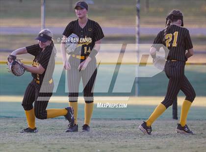 Thumbnail 3 in Harris County vs. Ola (GHSA 4A State Tournament) photogallery.